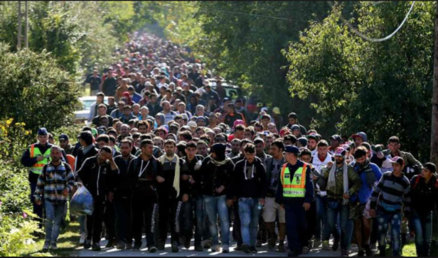 Refugiados e Imigrantes 2