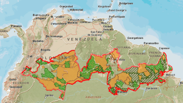 Venda da Amazônia 1